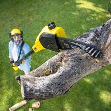 Best Weed Control  in Desert Aire, WA