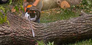 Lawn Maintenance Plans in Desert Aire, WA