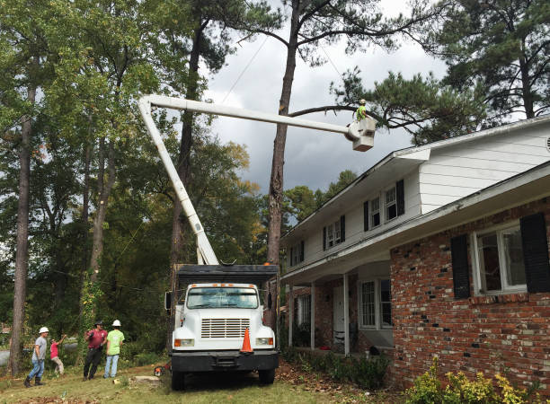 Best Tree Risk Assessment  in Desert Aire, WA